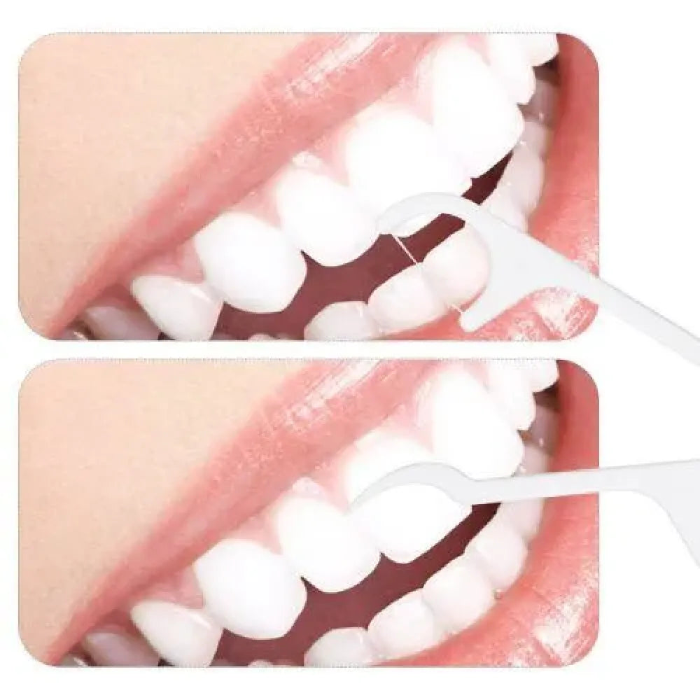 Eco-friendly floss & pick combo - health beauty