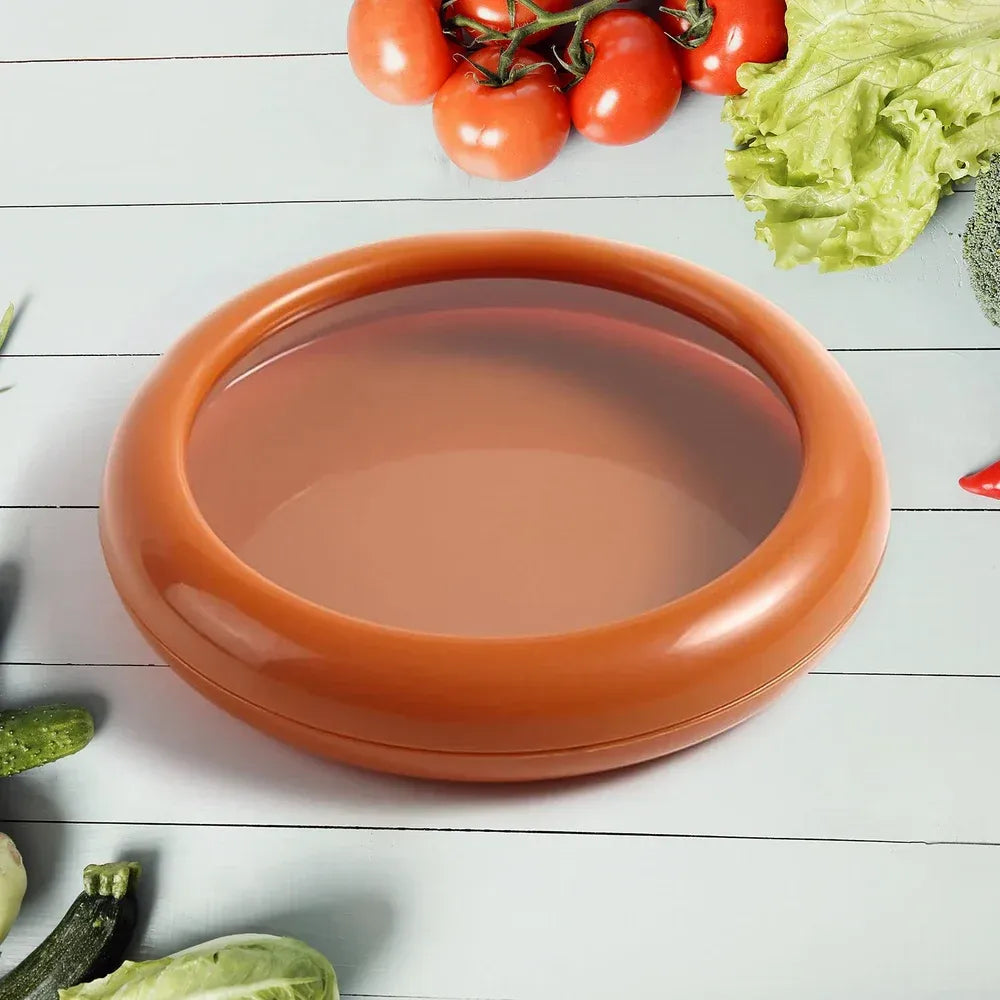 Eco-friendly food saver container