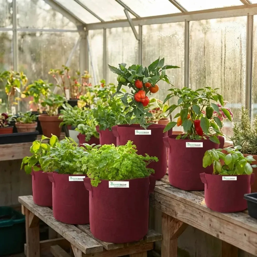 Eco tulsi grow bag - potential heroes