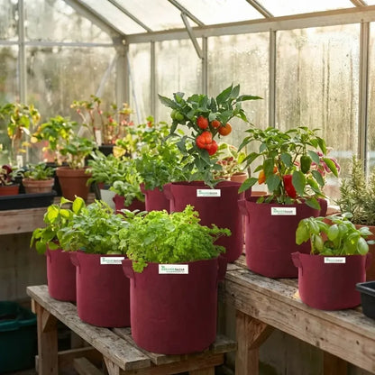 Eco tulsi grow bag - potential heroes
