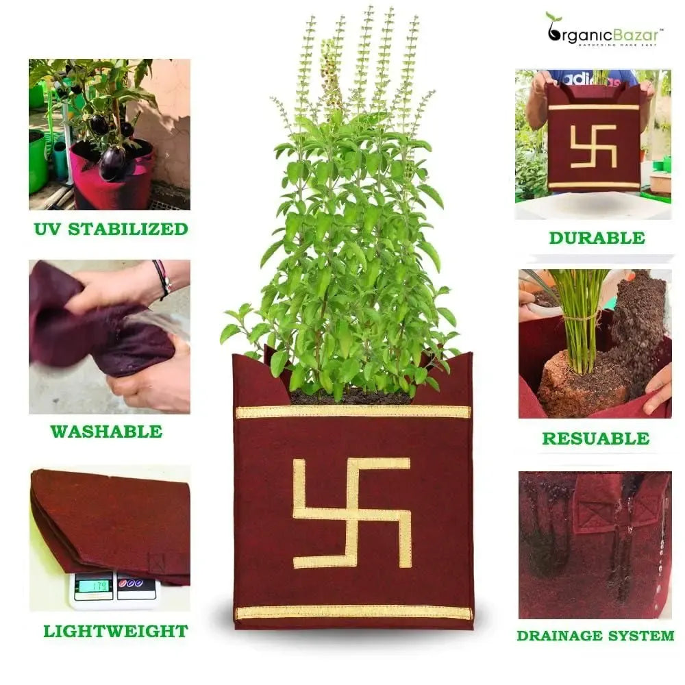 Eco tulsi grow bag