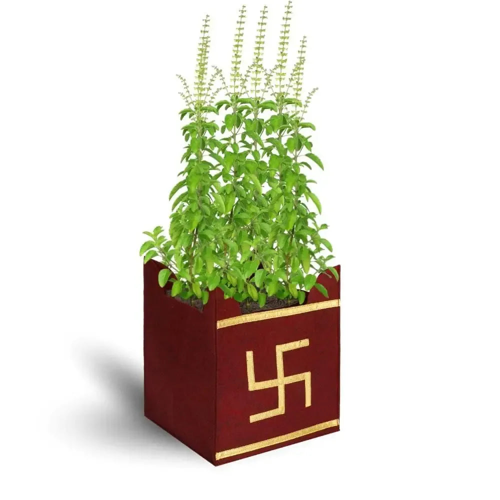 Eco tulsi grow bag - potential heroes