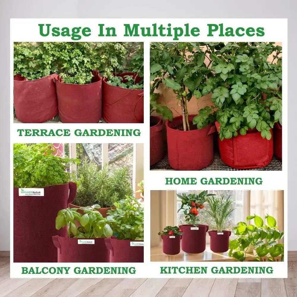 Eco tulsi grow bag - potential heroes