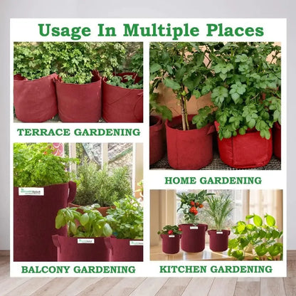 Eco tulsi grow bag - potential heroes