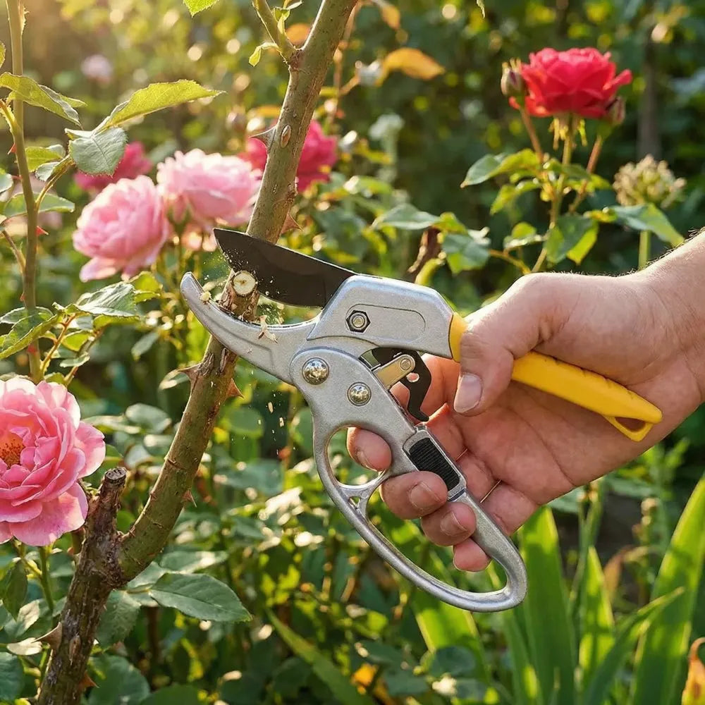 Effortless ratcheting pruning shears - garden