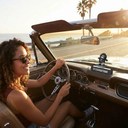 Elegant dashboard showpiece