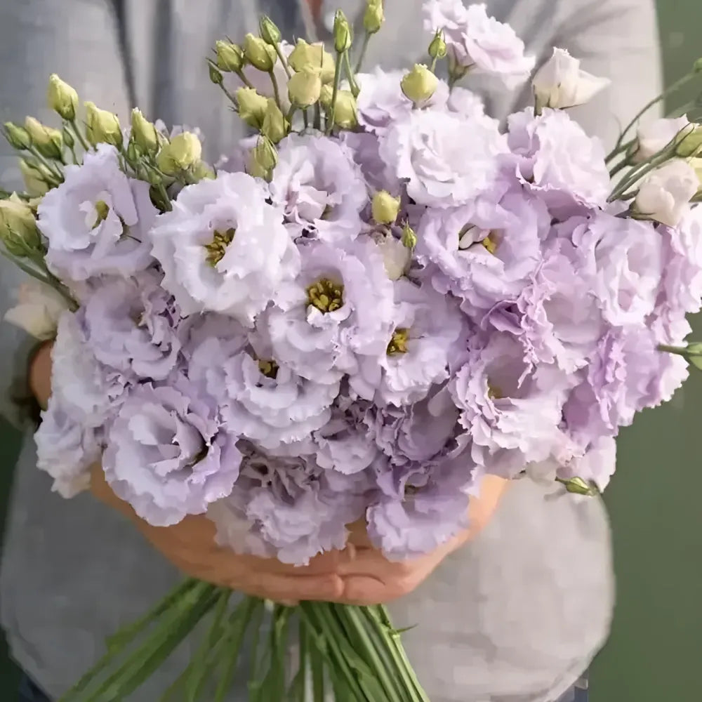 Elegant lisianthus flower seeds - gardening