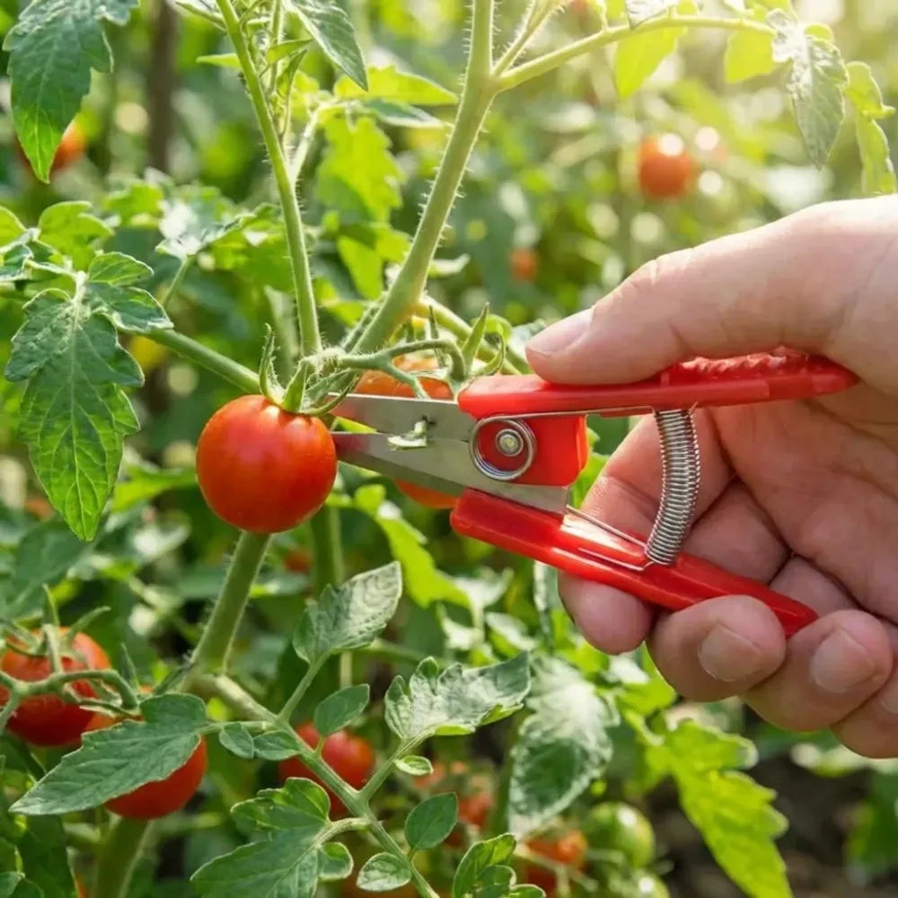 Ergonomic thumb cutter - gardening