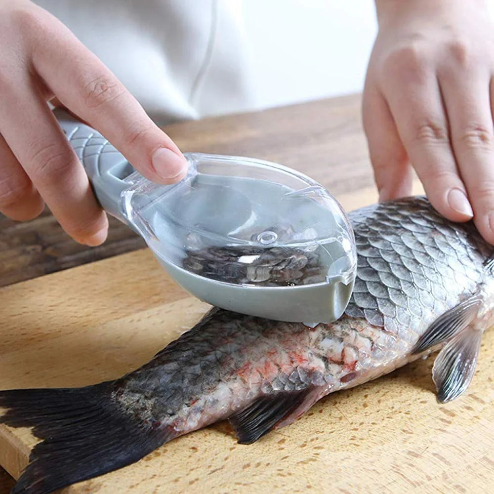 No-mess fish scale scraper