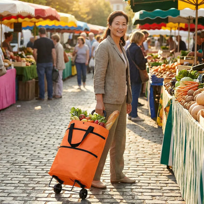 Foldable light weight polyester shopping trolley bag for vegetables grocery travel dual wheel waterproof (multicolor)
