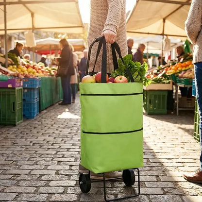 Foldable shopping trolley bag - travel