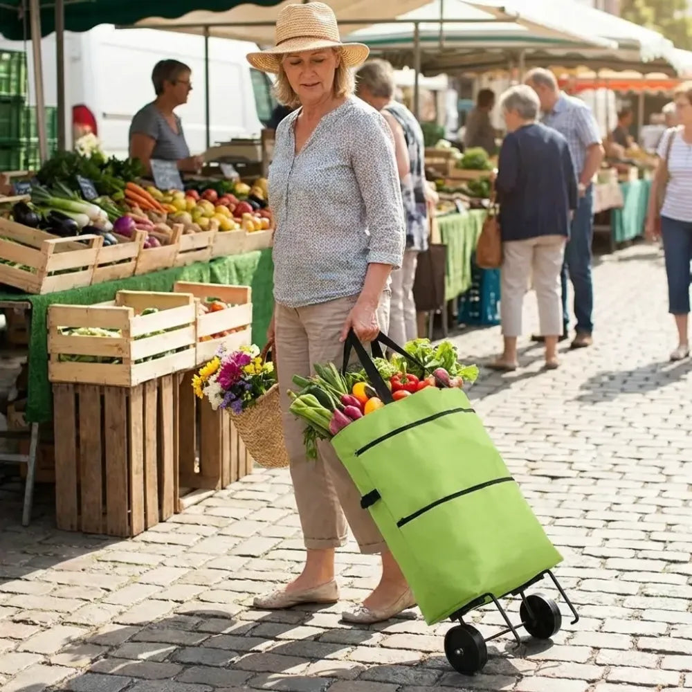 Foldable shopping trolley bag - travel