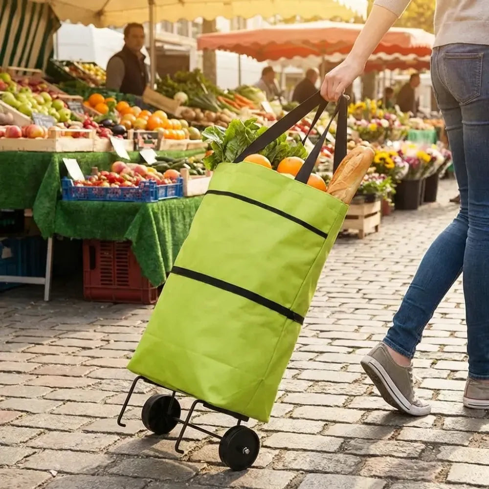 Foldable shopping trolley bag - travel