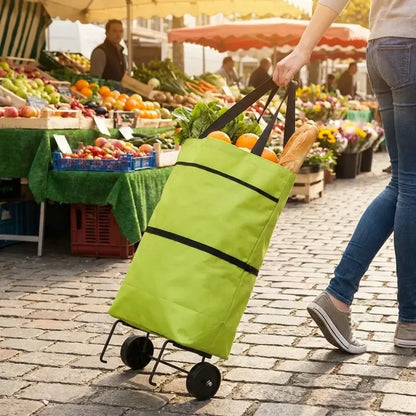 Foldable shopping trolley bag - travel
