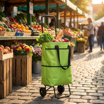 Foldable shopping trolley bag - travel