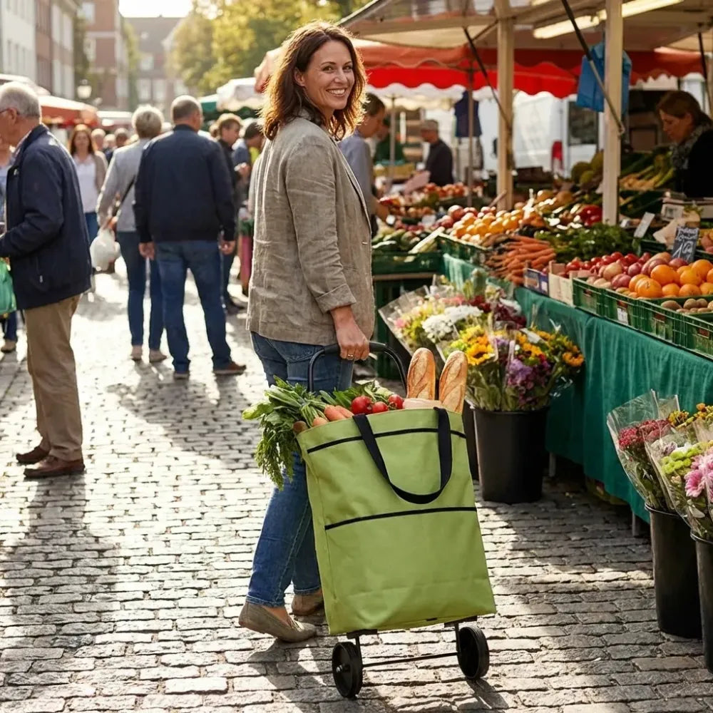 Foldable shopping trolley bag - travel