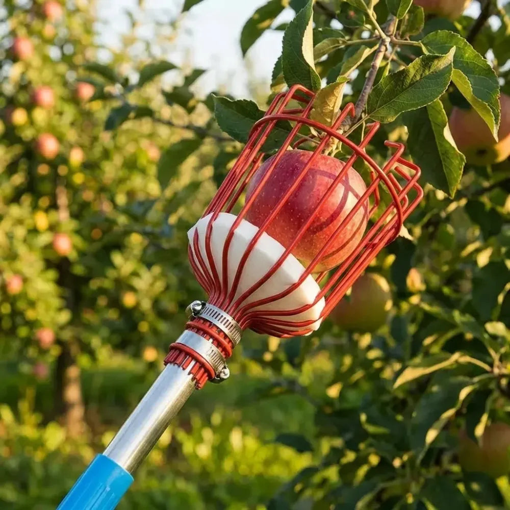 Fruit picker tool (head only) - home essentials