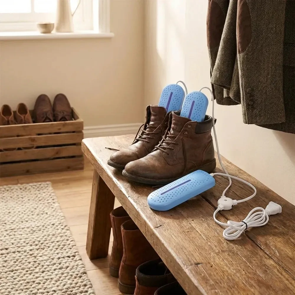 Generic electric shoe dryer