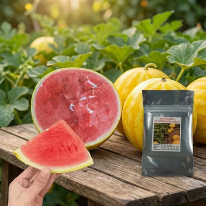 Golden red watermelon seeds - gardening