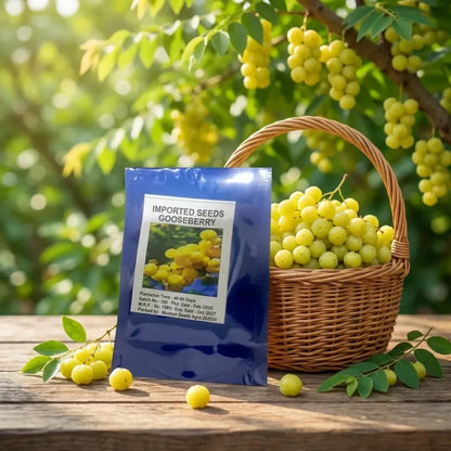 Gooseberry (amla) seeds – imported