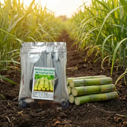 Green-skinned mini sugarcane seeds