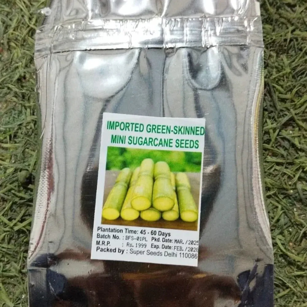 Green-skinned mini sugarcane seeds