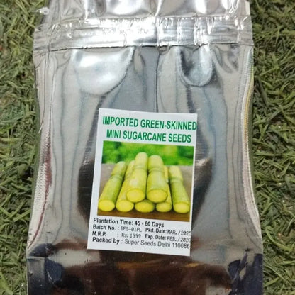 Green-skinned mini sugarcane seeds
