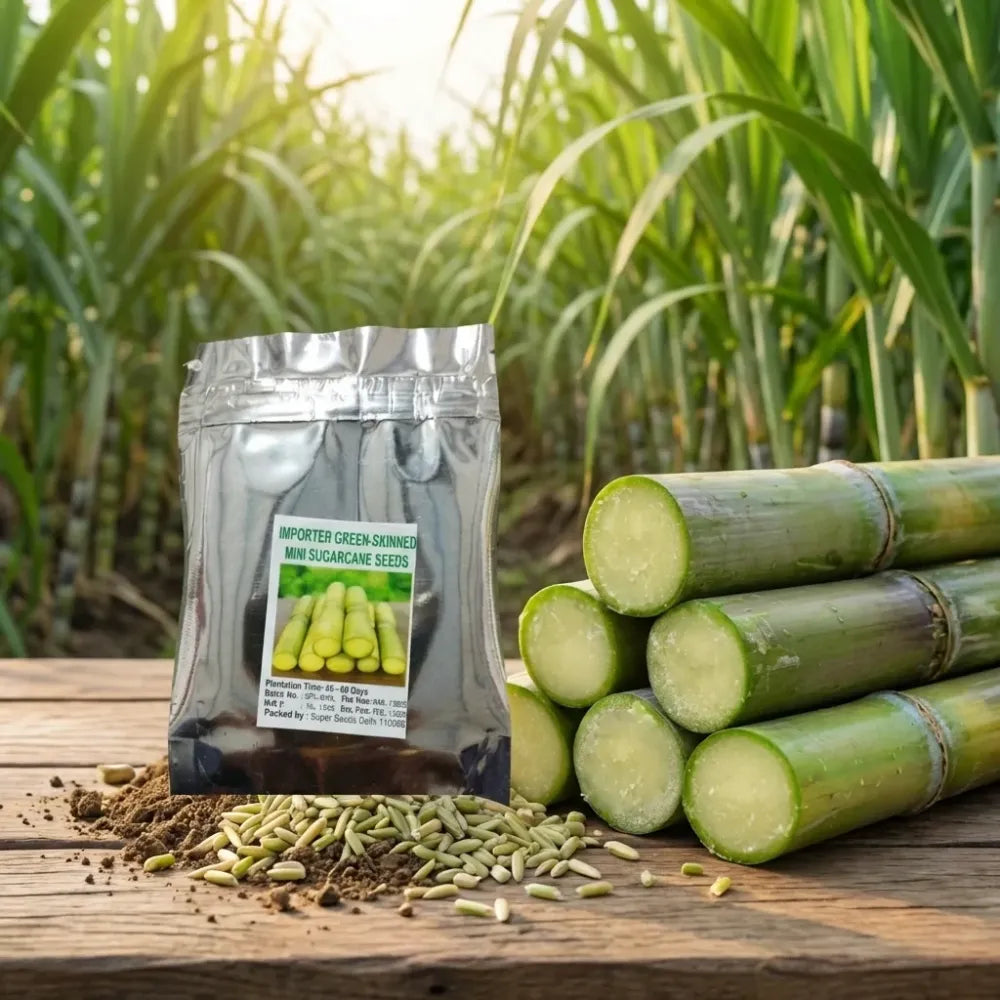 Green-skinned mini sugarcane seeds