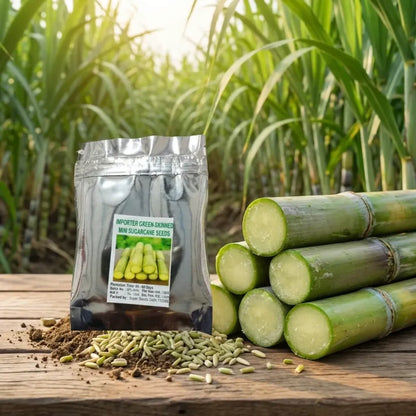 Green-skinned mini sugarcane seeds