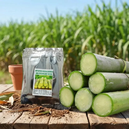 Green-skinned mini sugarcane seeds