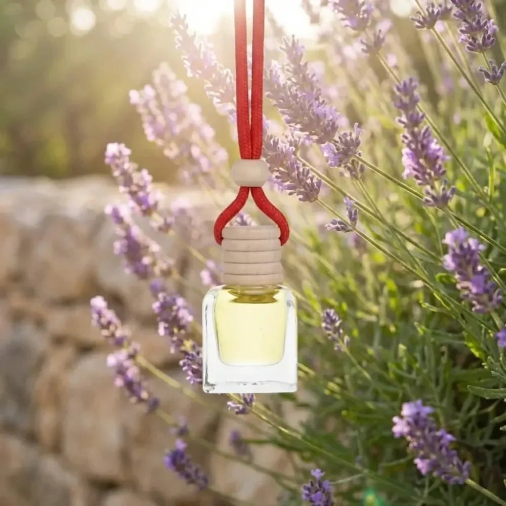 Hanging car perfume pods diffuser