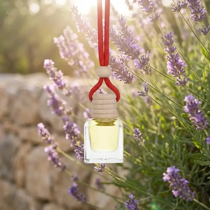 Hanging car perfume pods diffuser