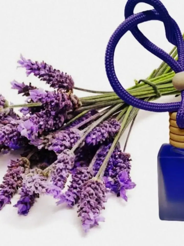 Hanging Car Perfume Pods Diffuser