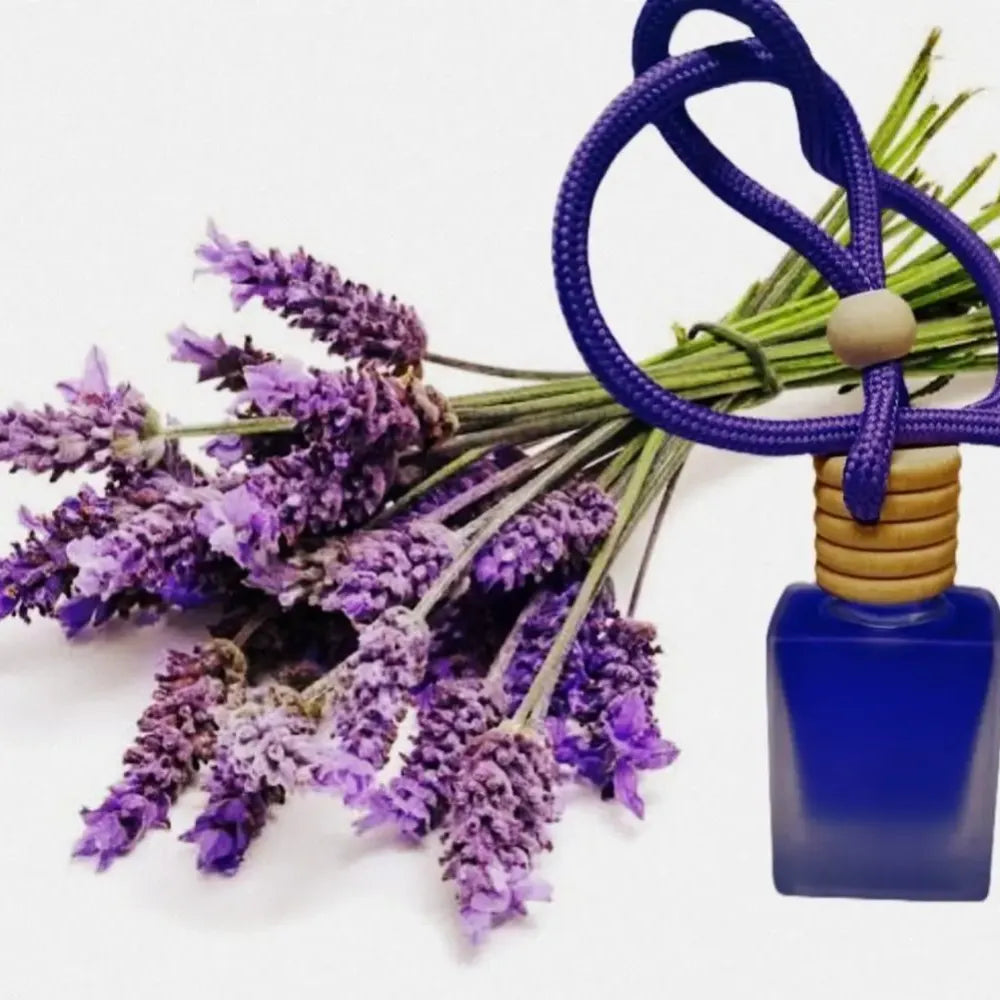 Hanging car perfume pods diffuser