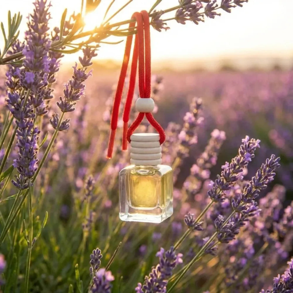 Hanging car perfume pods diffuser