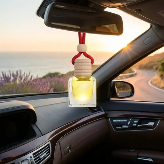 Hanging car perfume pods diffuser