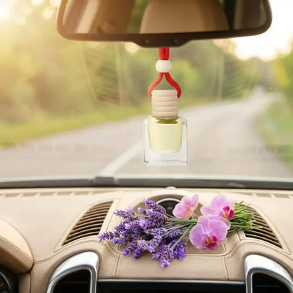 Hanging car perfume pods diffuser scent (assorted perfume)