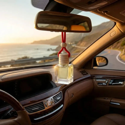 Hanging car perfume pods diffuser scent (assorted perfume)