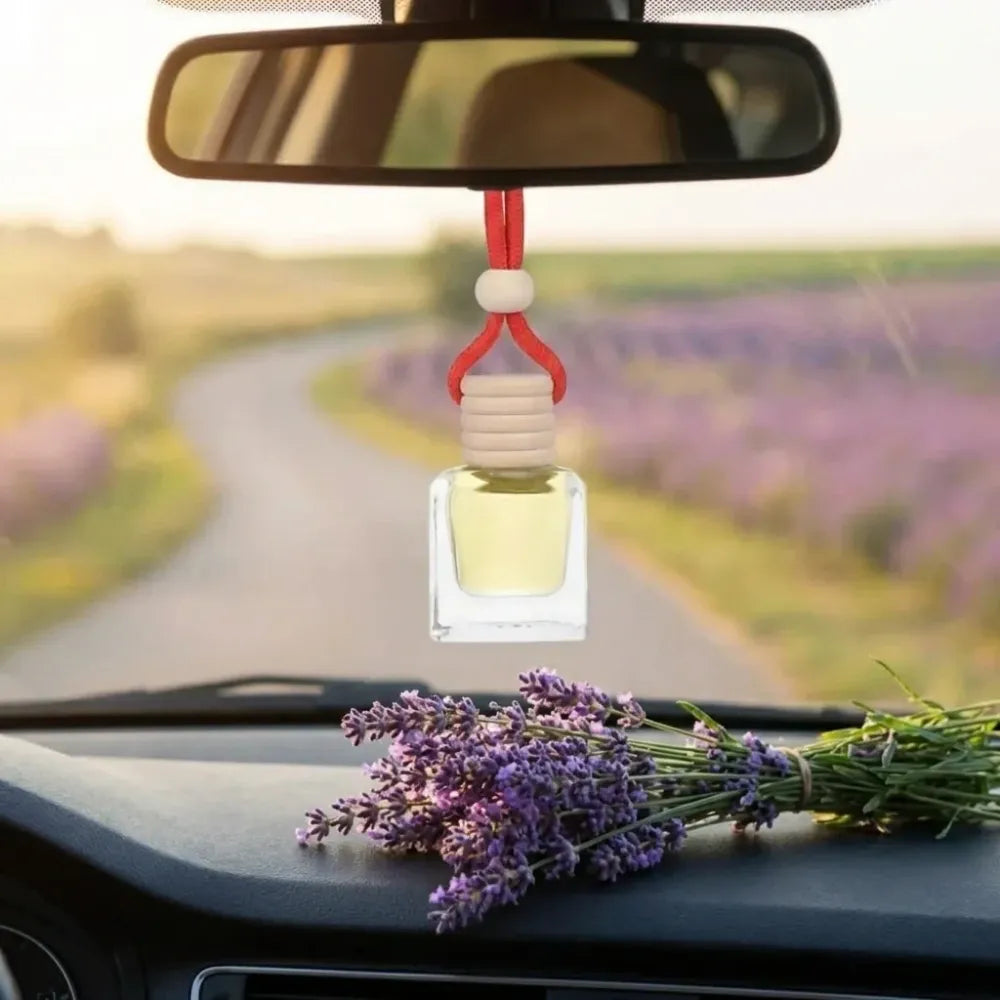 Hanging car perfume pods diffuser scent (assorted perfume)