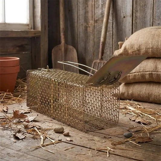 Humane iron cage mouse trap - home essentials