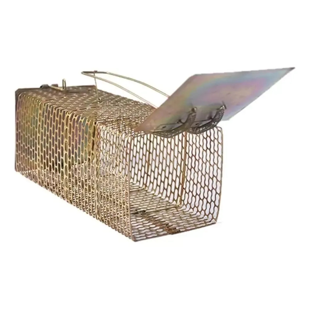 Humane iron cage mouse trap