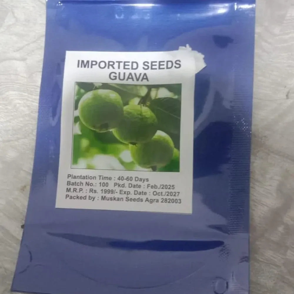 Imported guava seeds
