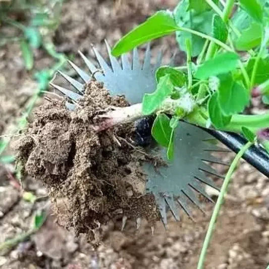 Industrial-strength herb grinder - home essentials