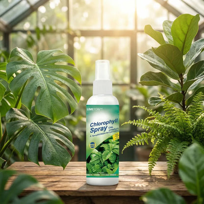 Instant green chlorophyll spray - gardening