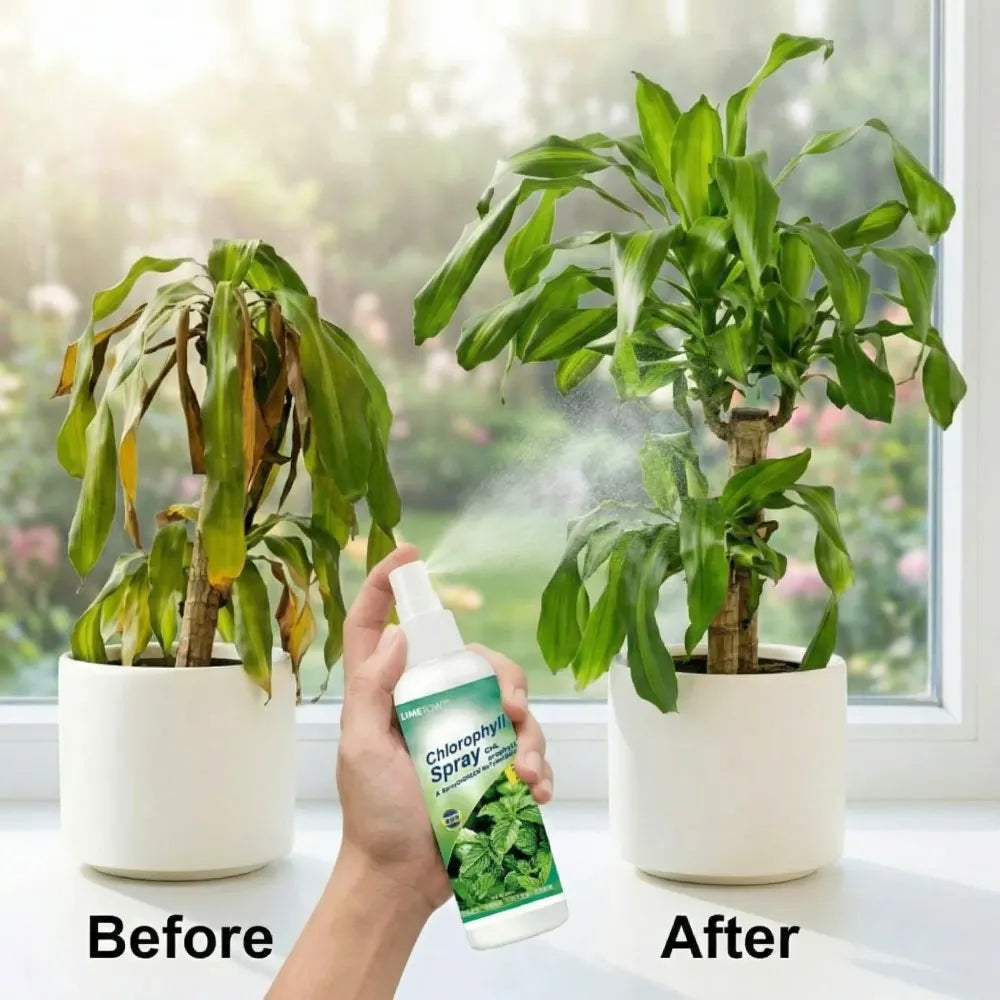 Instant green chlorophyll spray - gardening