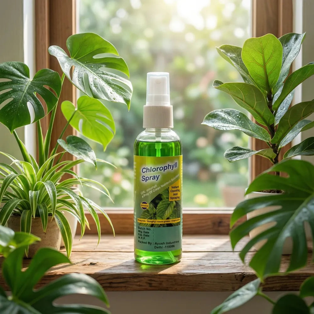 Instant green chlorophyll spray - gardening