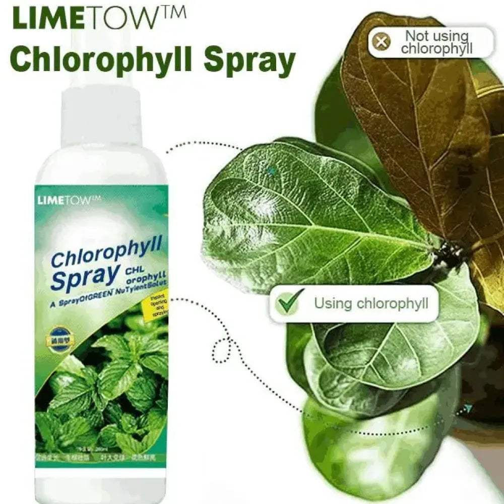 Instant green chlorophyll spray