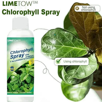 Instant green chlorophyll spray - gardening