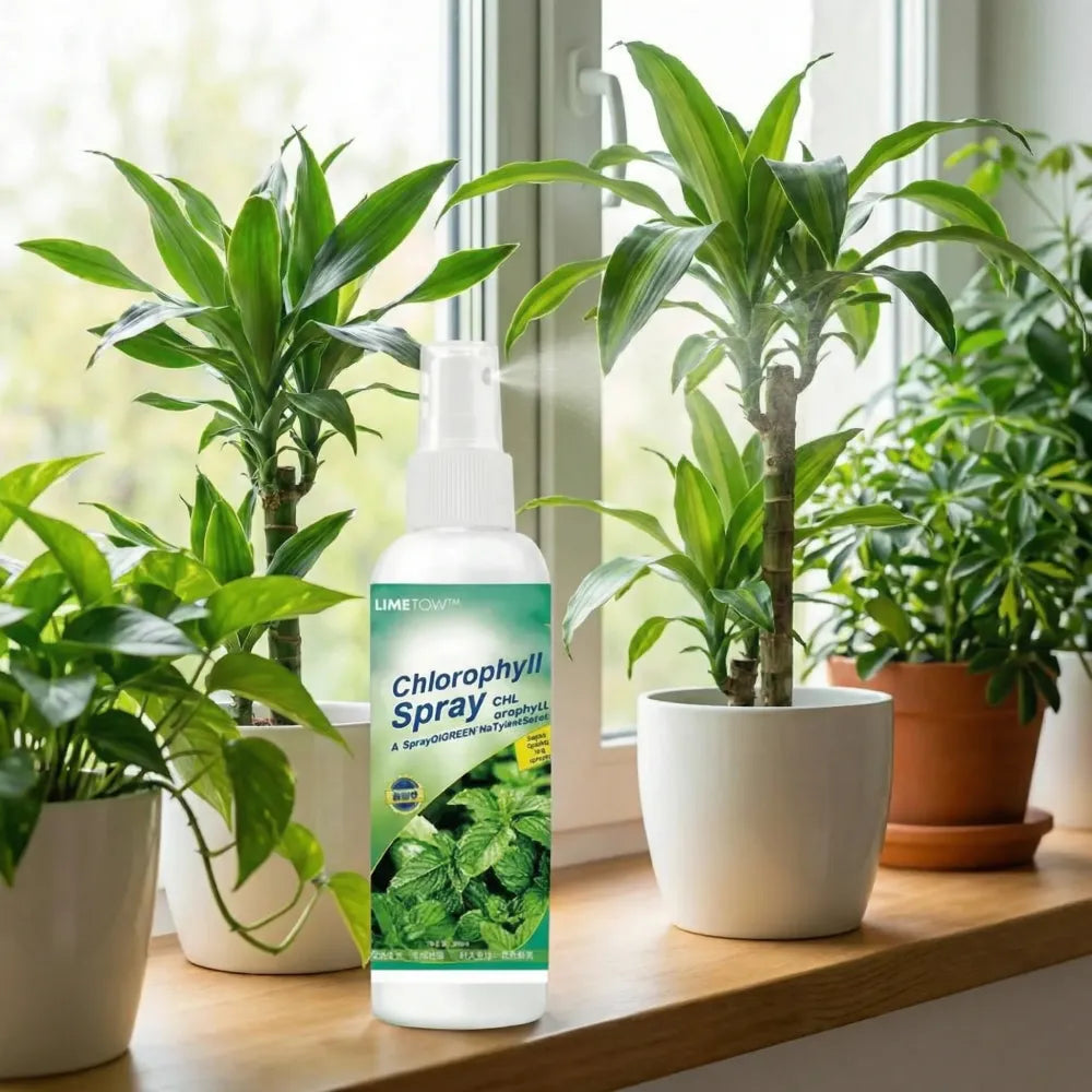 Instant green chlorophyll spray - gardening