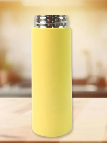Insulated Stainless Steel Bottle